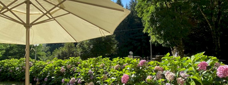 Week end a Pianaccio!