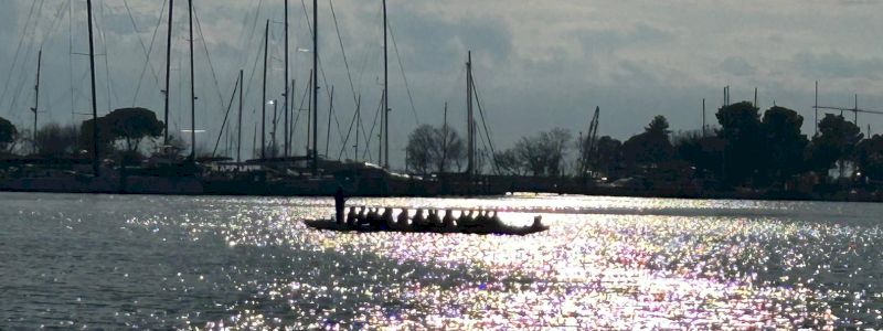 DIVENTA NOSTRO COMPAGNO DI SQUADRA!