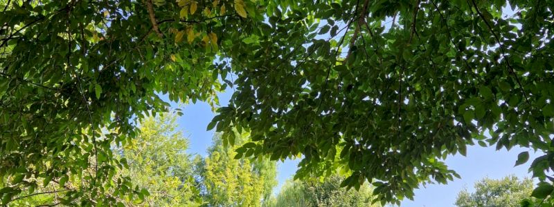 Lezione didattica presso il Bio Parco Noè