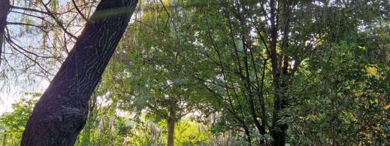 Mini guida alla scoperta del Bio Parco Noè