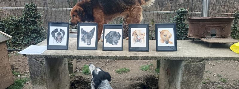 Lezioni on line di Valentina Biedi