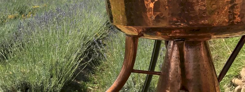 Visita al Lavandeto e Distillazione Didattica (Visit the Lavender Field and discover how we extract the essence)