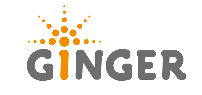 ideaGINGER