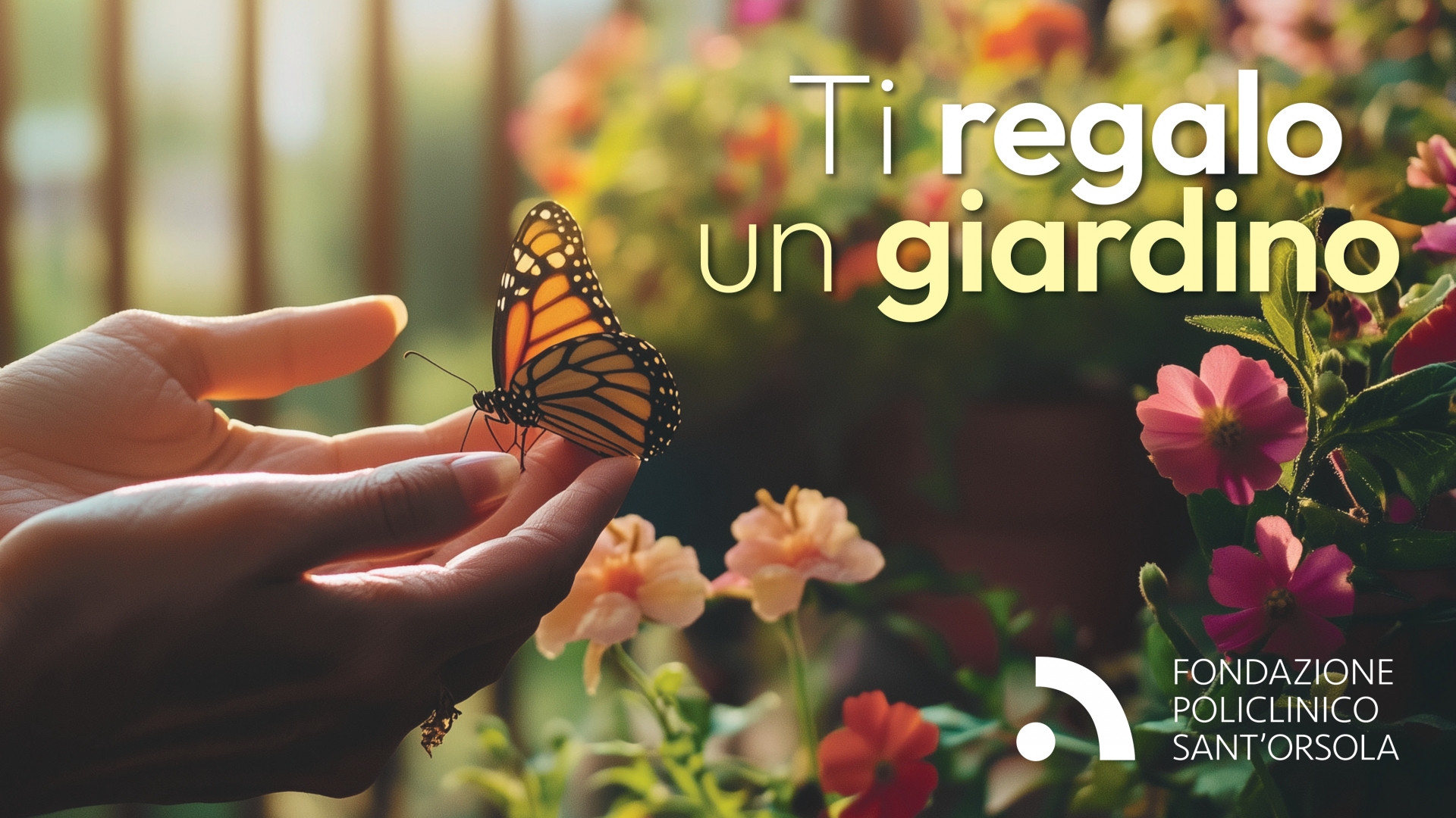 immagine progetto