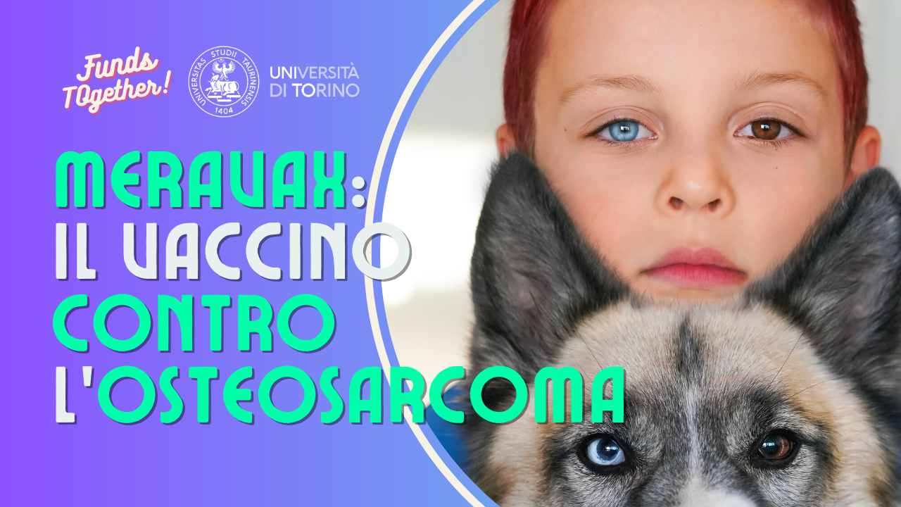 Logo 2 con plasmide