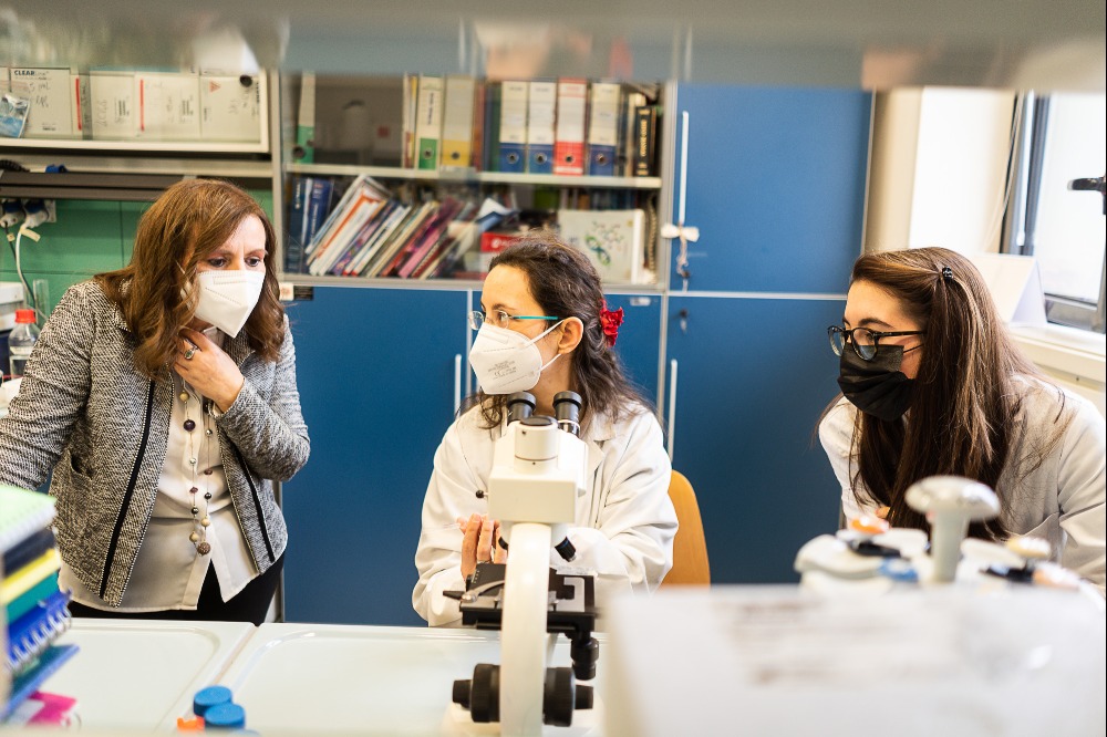 291167434_411096471060067_19000397434686536_n